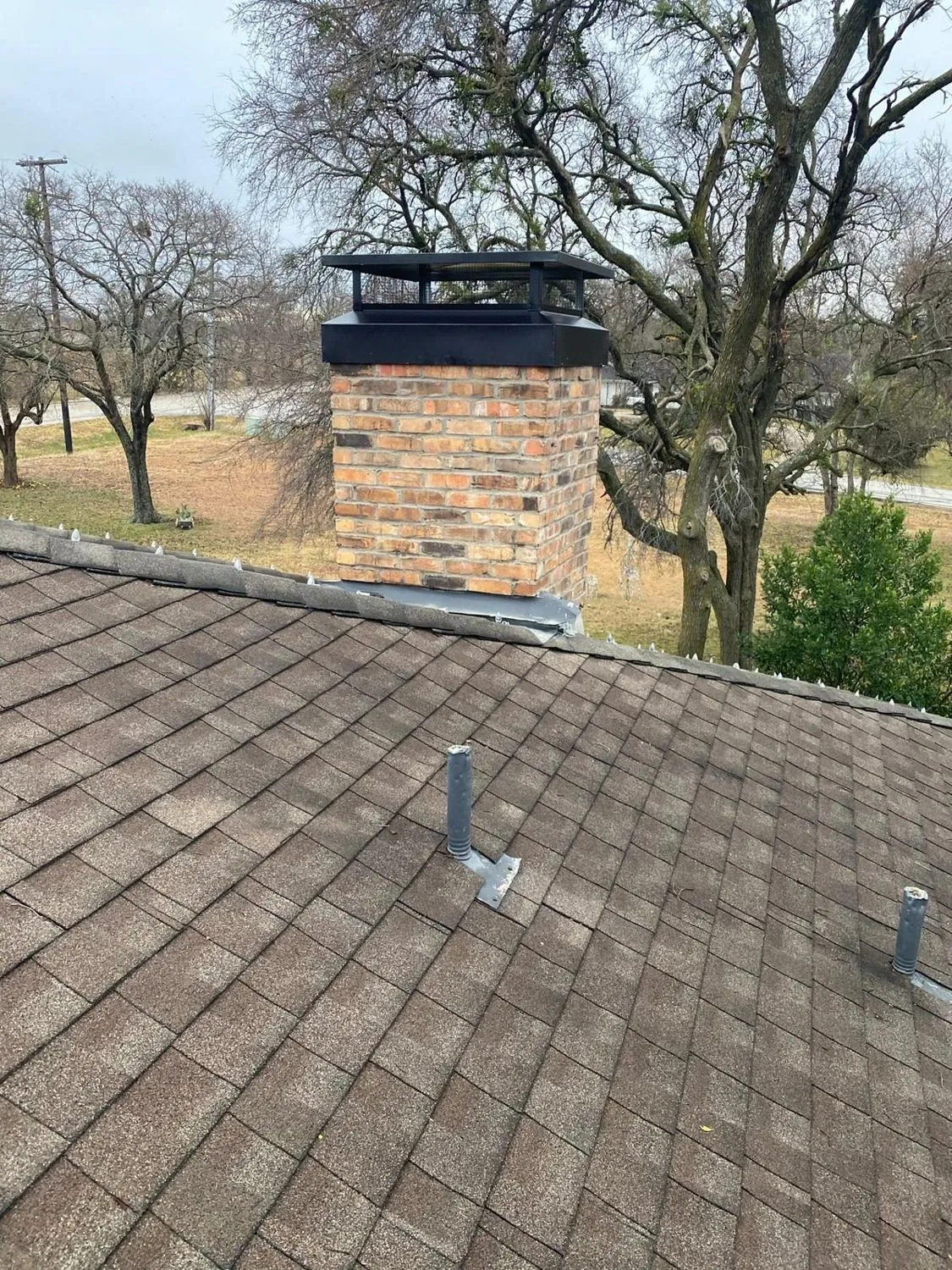 Brick chimney with black cap on roof framed by bare trees