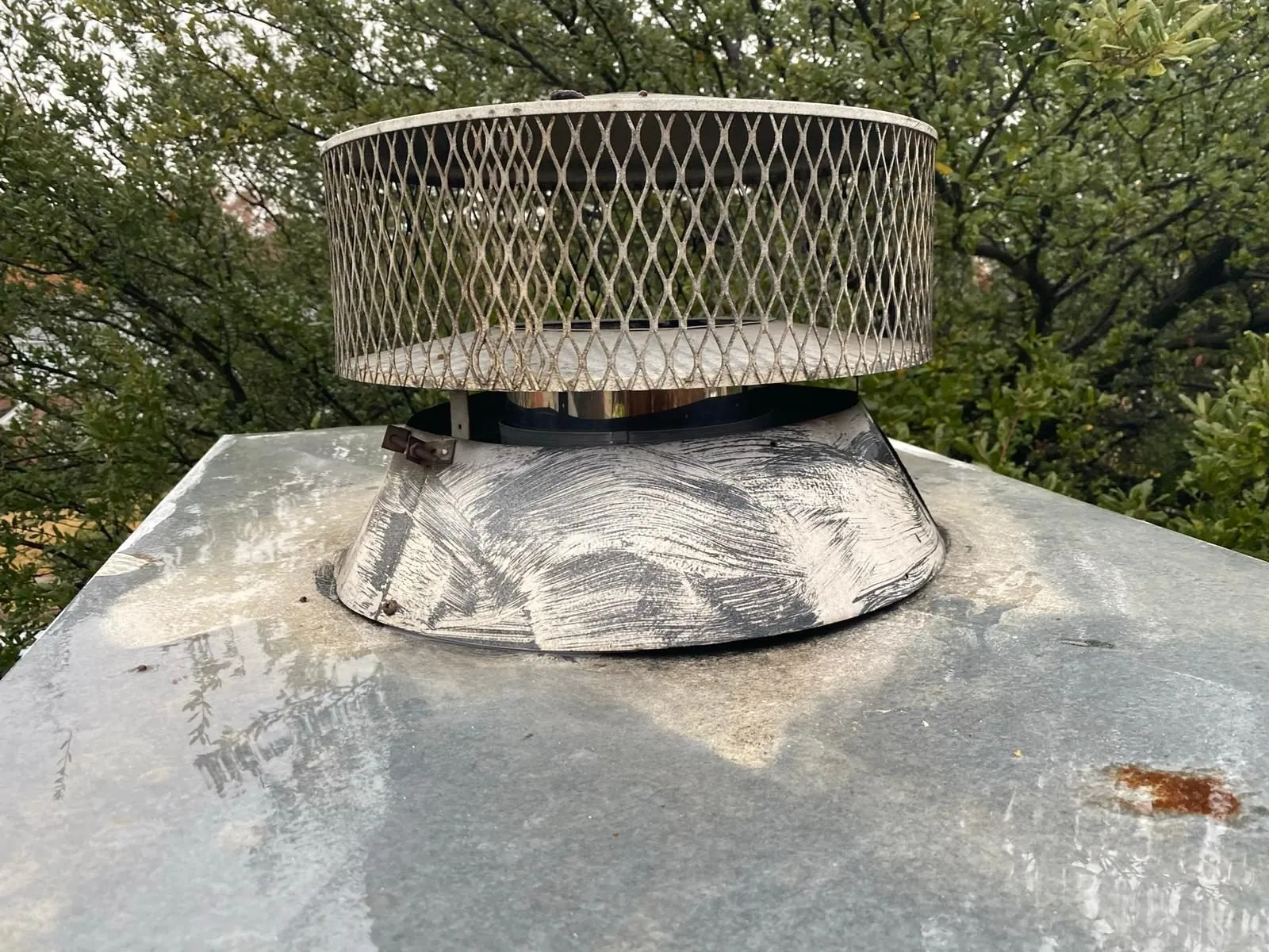 Round mesh chimney cap mounted on freshly sealed crown